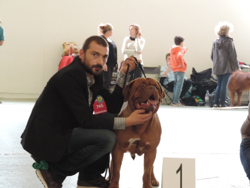 CH. Madd'yz Dog Horia